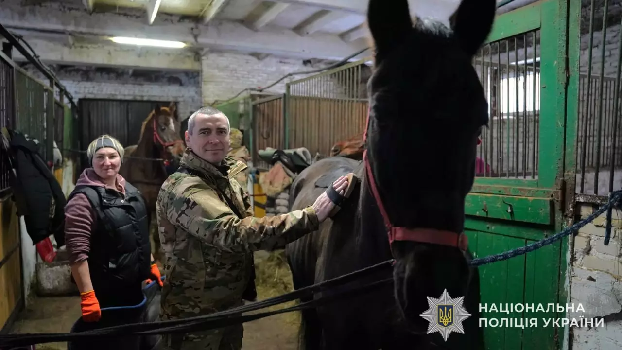 Поліцейські та бійці Нацгвардії України під час іпотерапії в стайні, взаємодія з кіньми для реабілітації