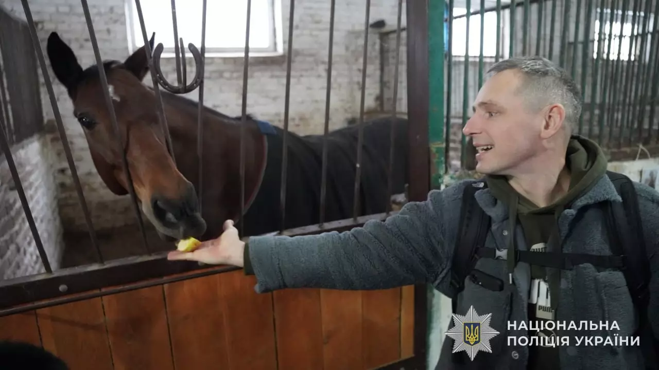 Чоловік у формі годує коня в стайні, сприяючи реабілітації через іпотерапію для поранених бійців