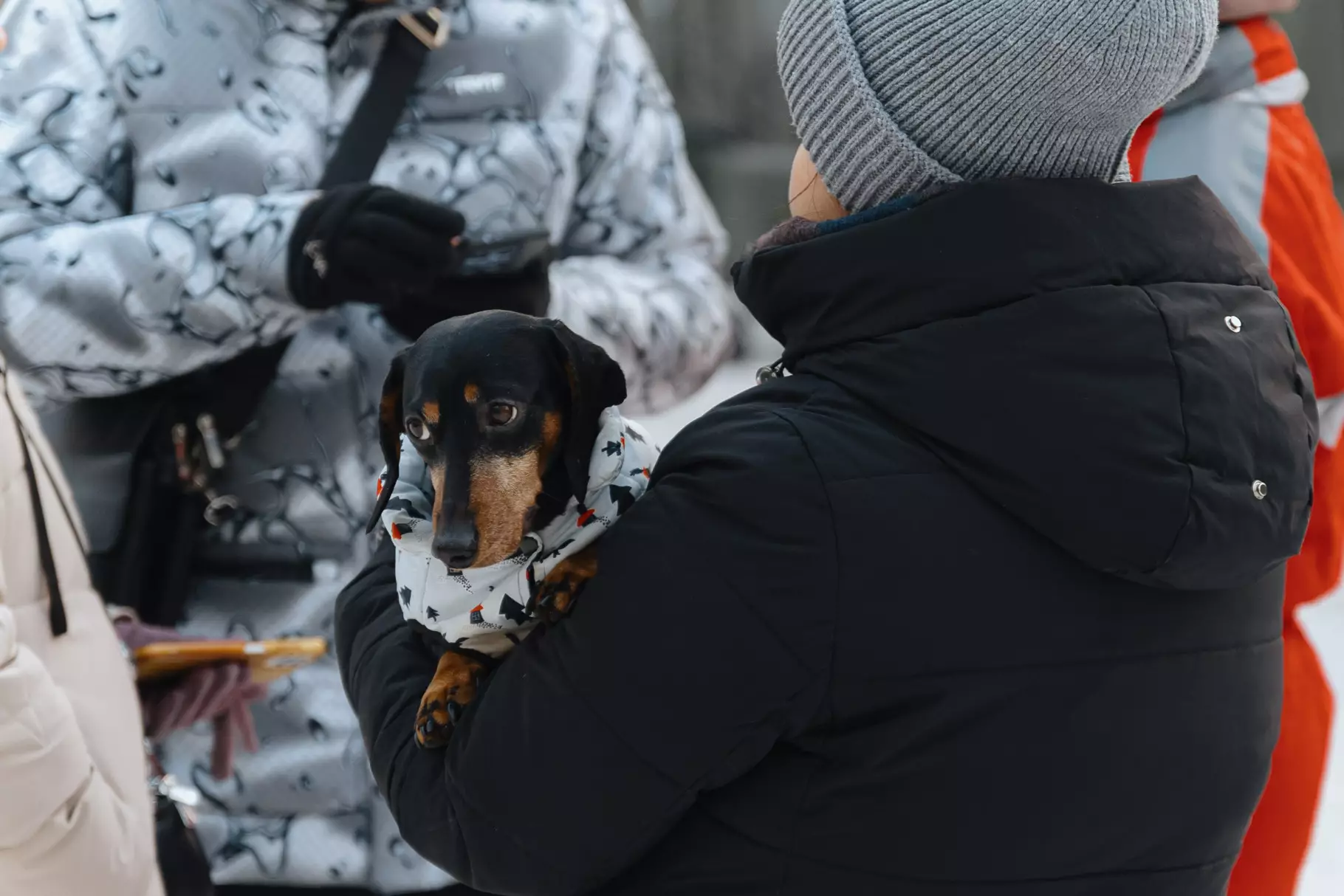 Людина в зимовому одязі тримає собаку в теплому одязі на вулиці під час холодної погоди