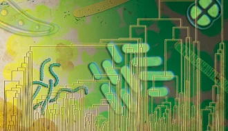 MIT: аеробне дихання могло виникнути до Великої кисневої події – сліди ферменту з Мезоархею