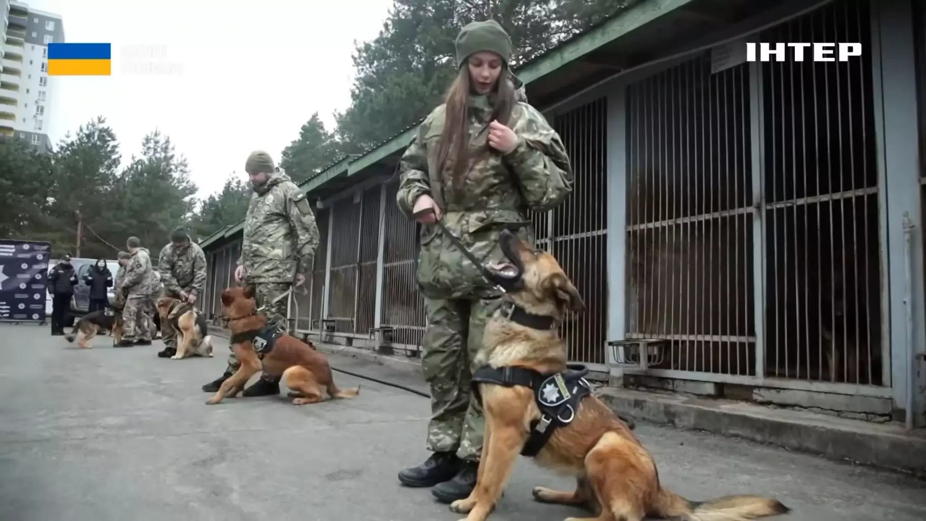 Кінологи Національної поліції України тренують службових собак у кінологічному центрі Києва