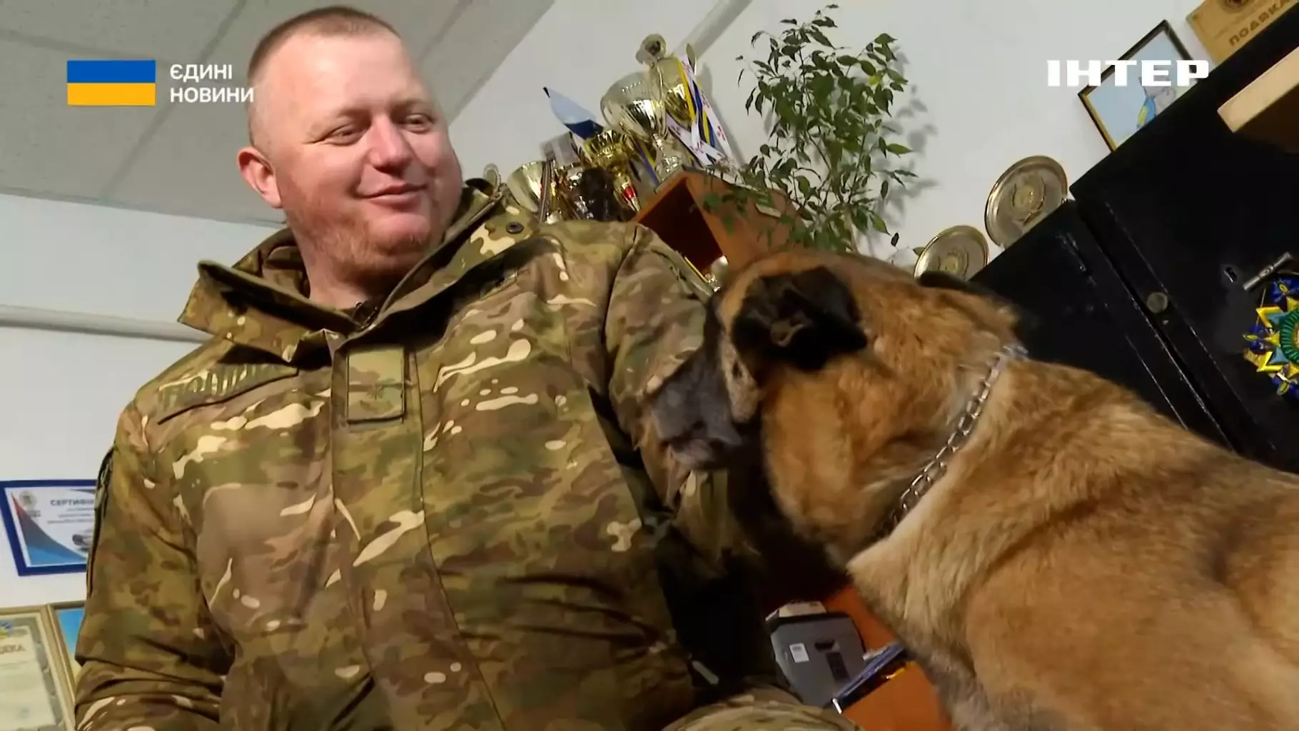 Кінолог у формі спілкується зі службовим собакою в офісі, на задньому плані нагороди та рослина