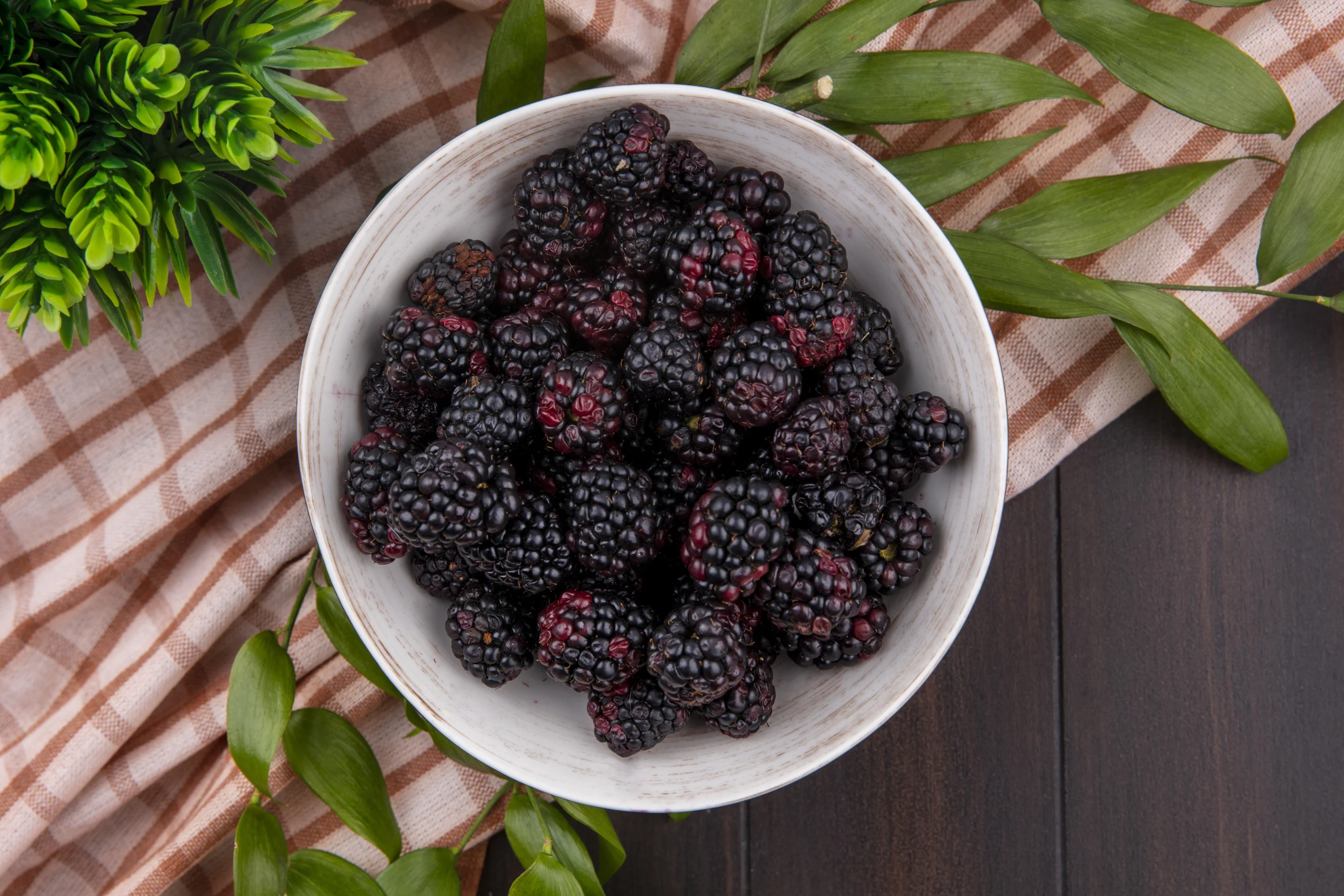 Шовковиця ягода 